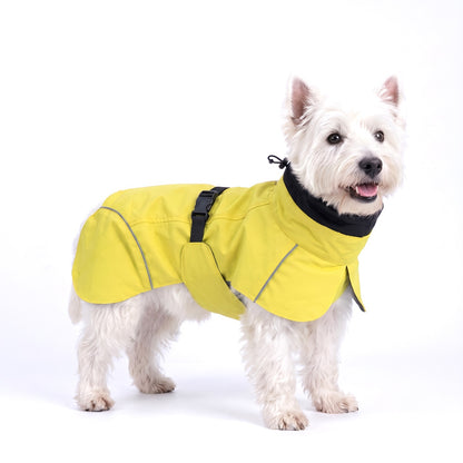 Lime green high neck dog rain coat on a West Highland Terrier