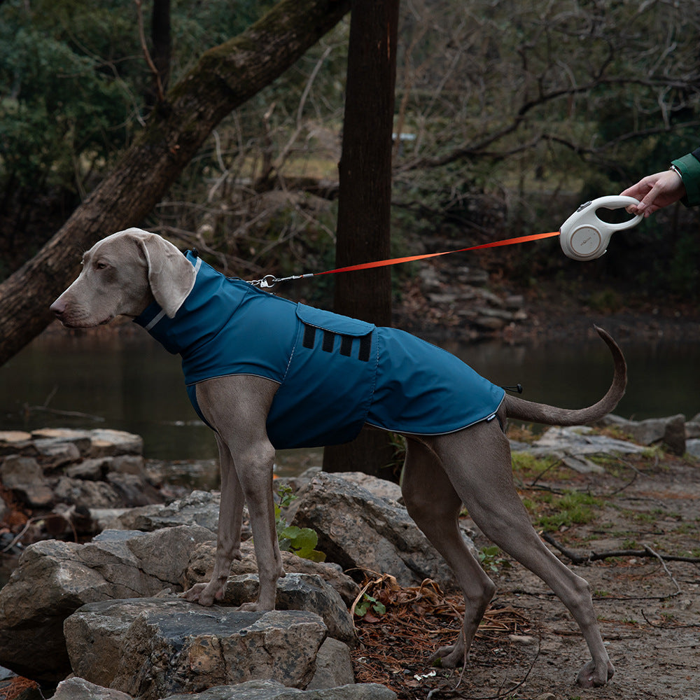 Weimaraner wearing dark blue waterproof high-neck dog raincoat