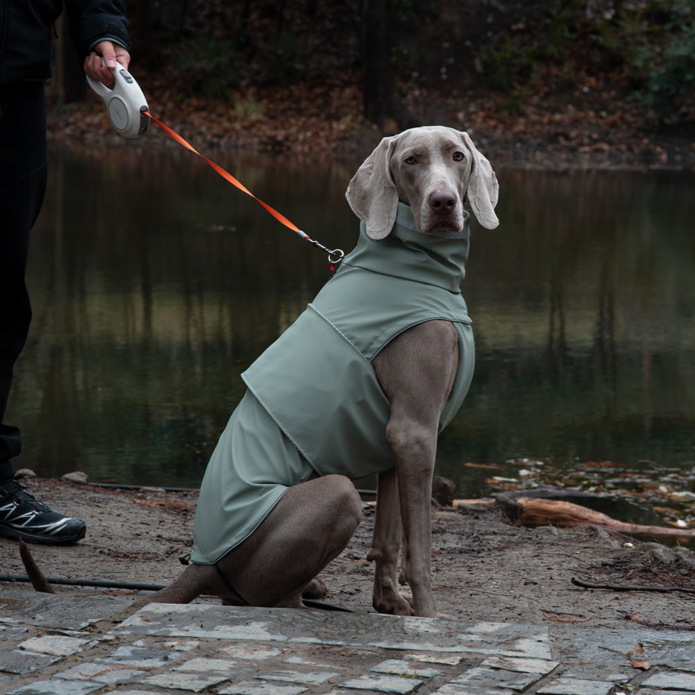 Weimaraner wearing green waterproof high-neck dog raincoat