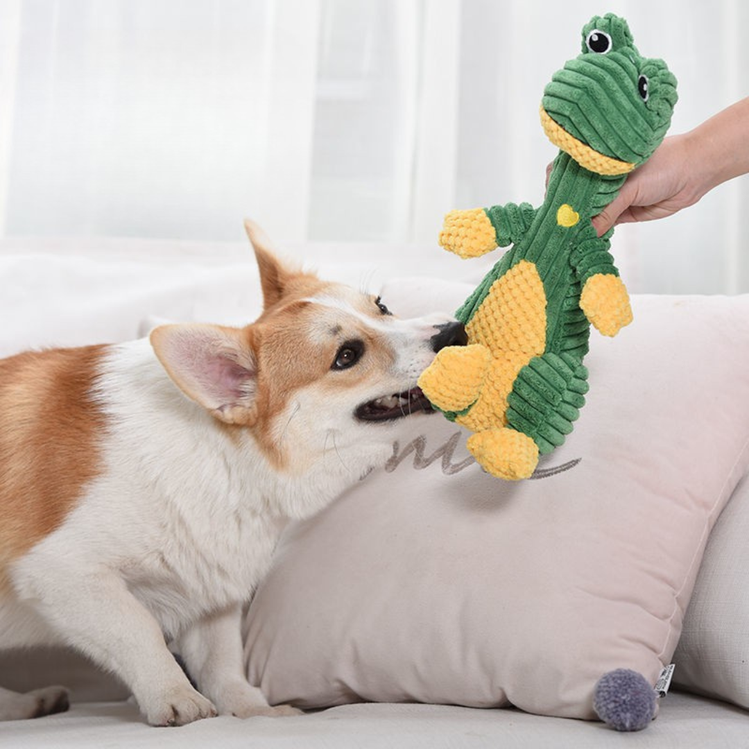 welsh corgi playing with chewy dog toy designed for strong chewers