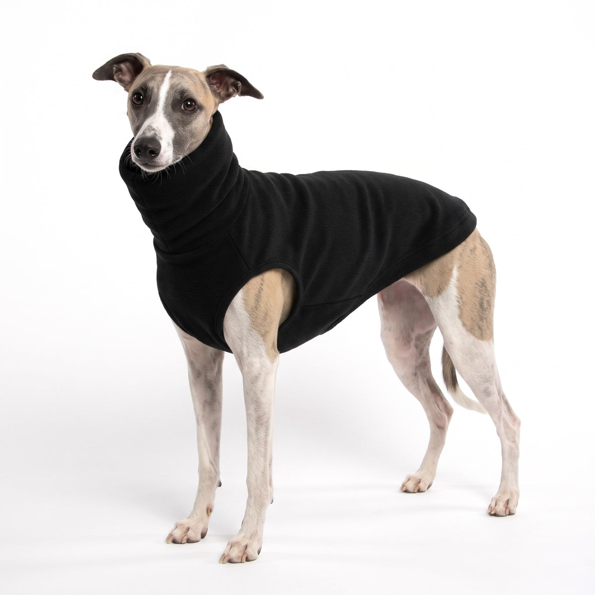 Black polo neck fleece jumper on a Lurcher