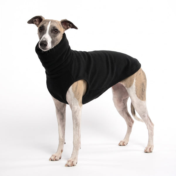 Black polo neck fleece jumper on a Lurcher