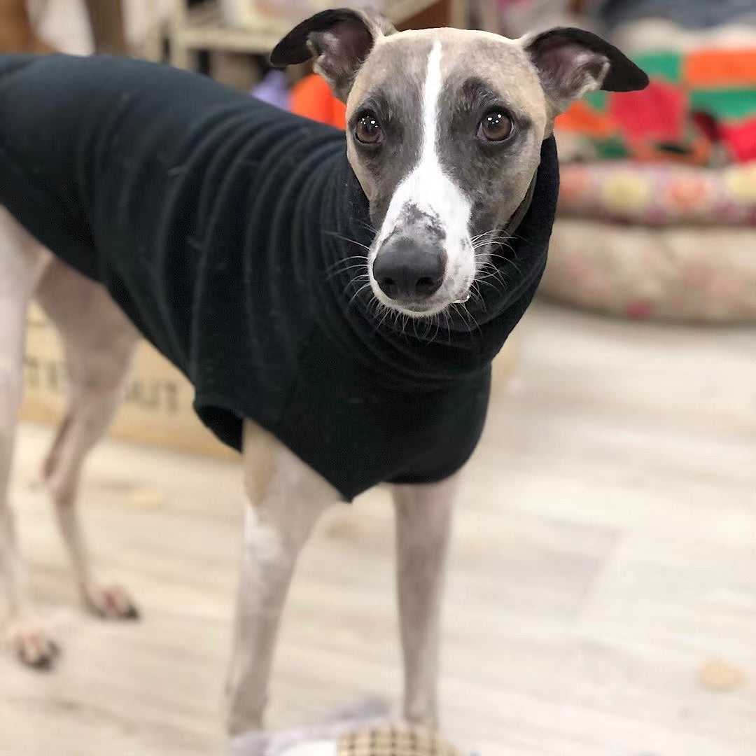 Black polo neck fleece jumper on a whippet