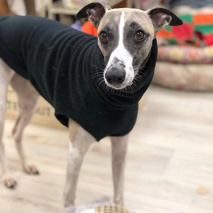 Black polo neck fleece jumper on a whippet