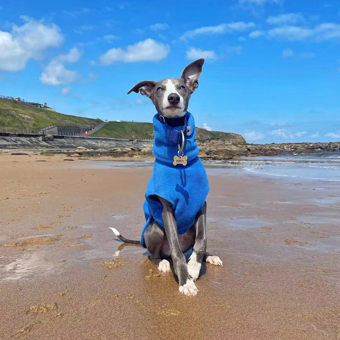 Blue polo neck fleece jumper on a whippet at the beach