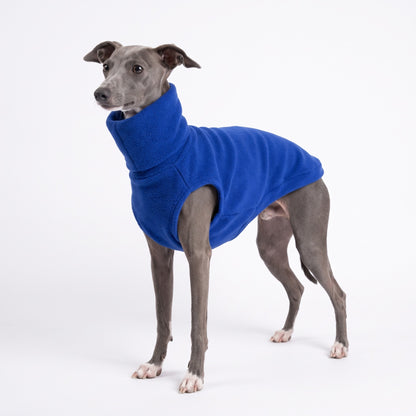 Blue polo neck fleece jumper on an Italian Greyhound