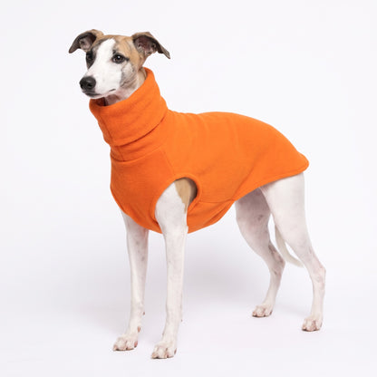 Orange polo neck fleece jumper on a Whippet