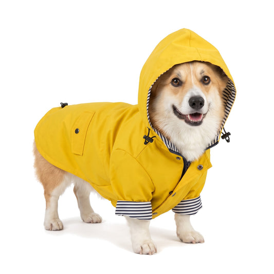 Corgi wearing the yellow hooded dog raincoat with striped lining