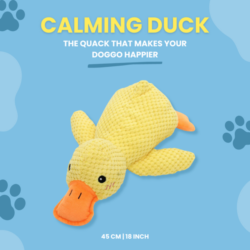 yellow duck interactive dog toy that makes a squeaking sound