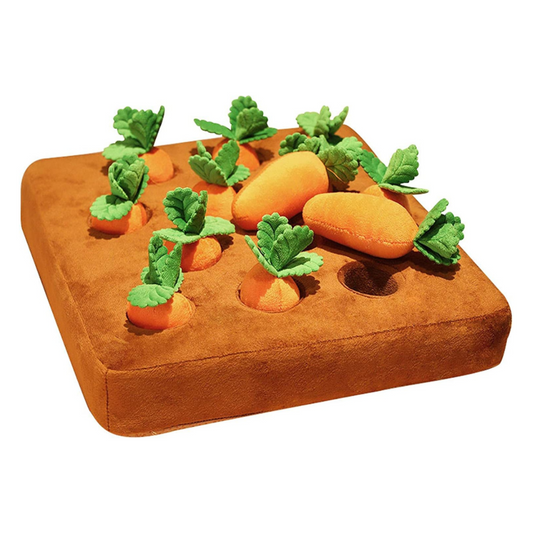 Carrot Garden Plush Dog Toy