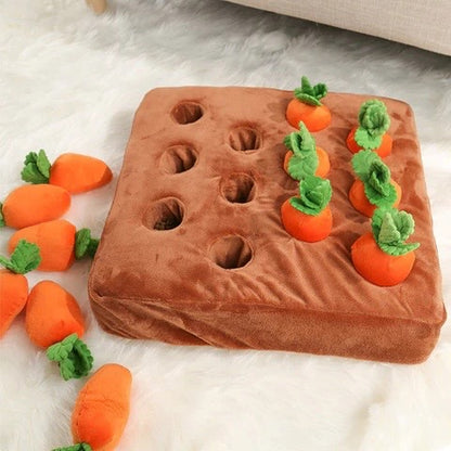 carrot garden dog toy