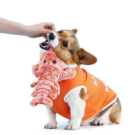 Floppy Lobster™ Interactive Dog Toy HAPPIER DOGGO