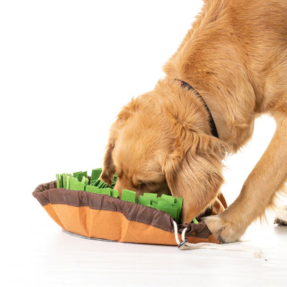 Dog searching treats in Snuffle mat for dogs Foofield