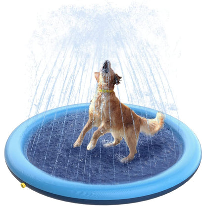 А golden retriever playing in dog sprinkler pad Splashy