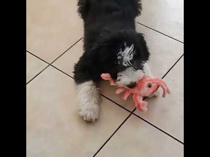 Floppy Lobster™ - Interactive Dog Toy