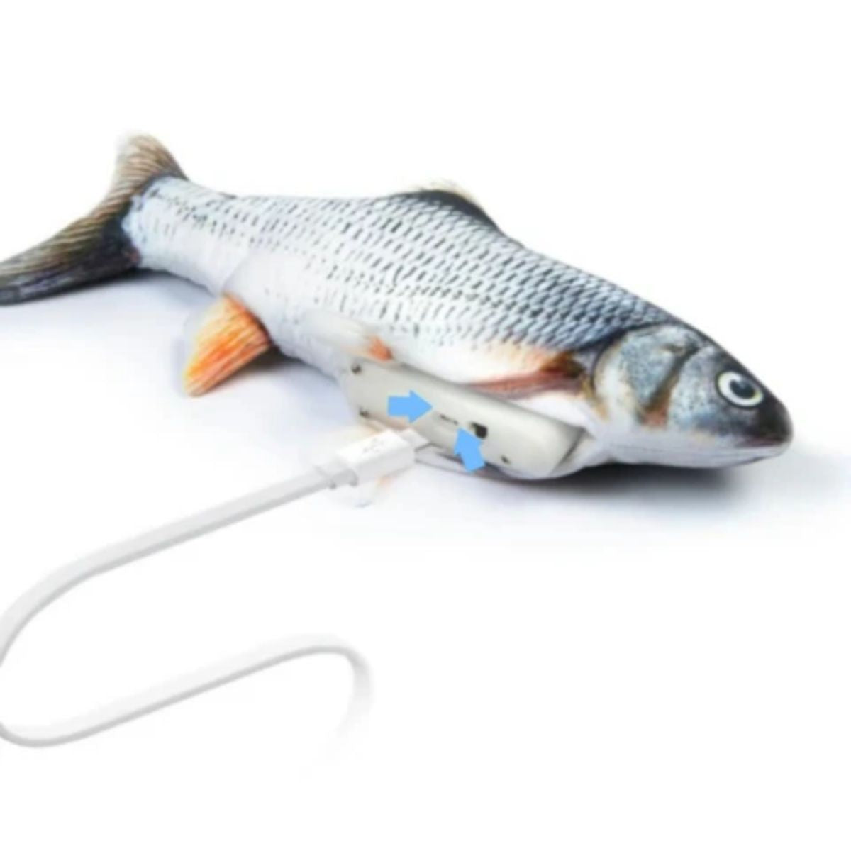 Dog toy clearance fish