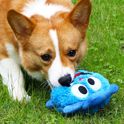 Welsh corgi playing with interactive dog toy Crazy monster