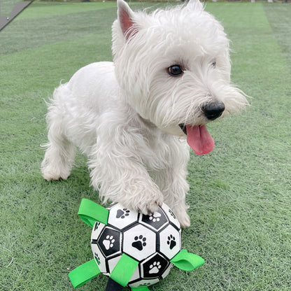 West highland white terrier holding interactive dog toy Doggo Ball
